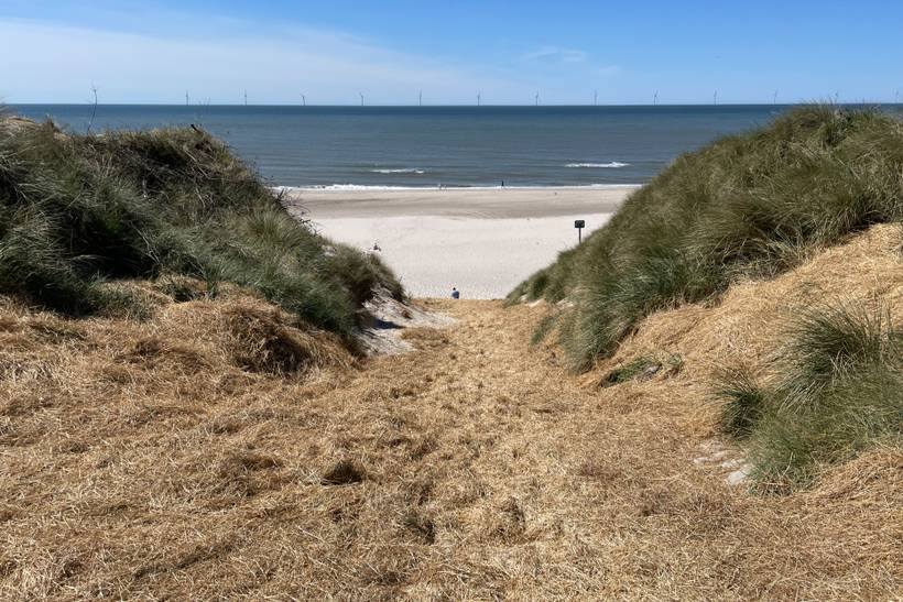 Foto von Nr. Lyngvig Strand