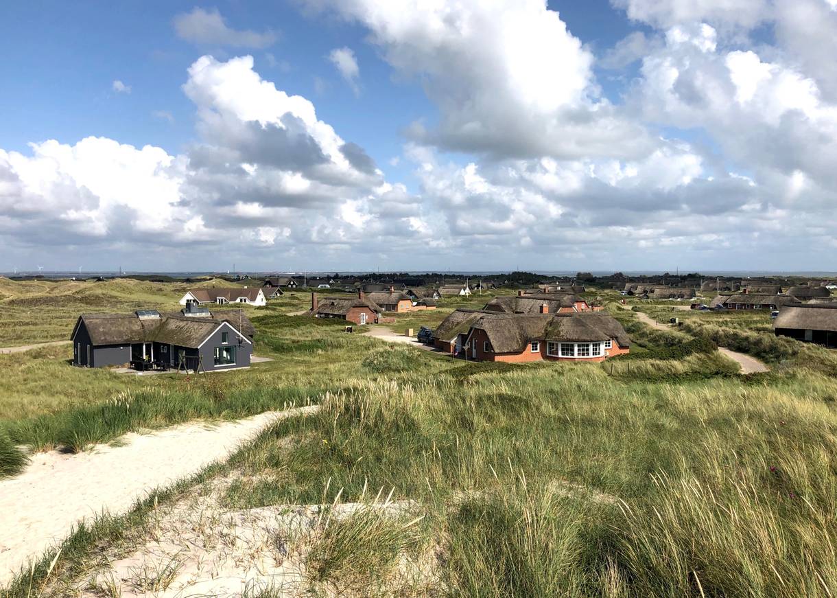 Verschiedene private Ferienhäuser in Westjütland vor den Dünen