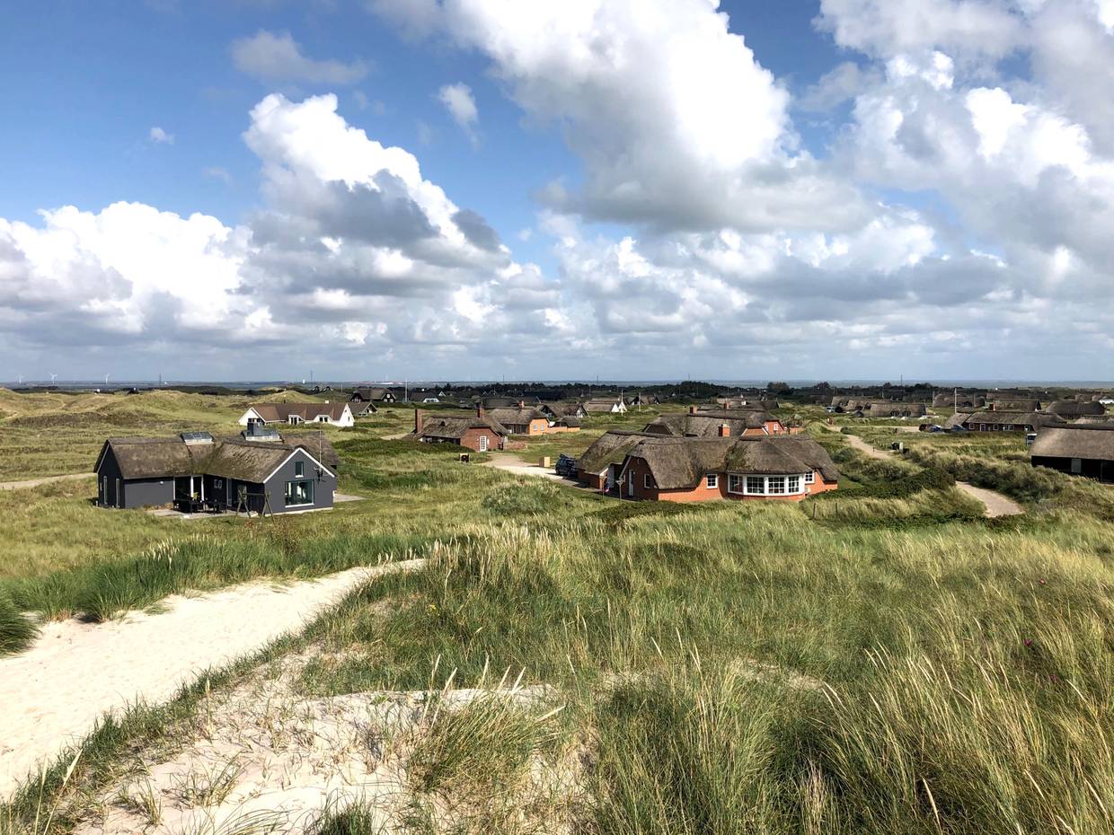 Verschiedene private Ferienhäuser in Westjütland vor den Dünen