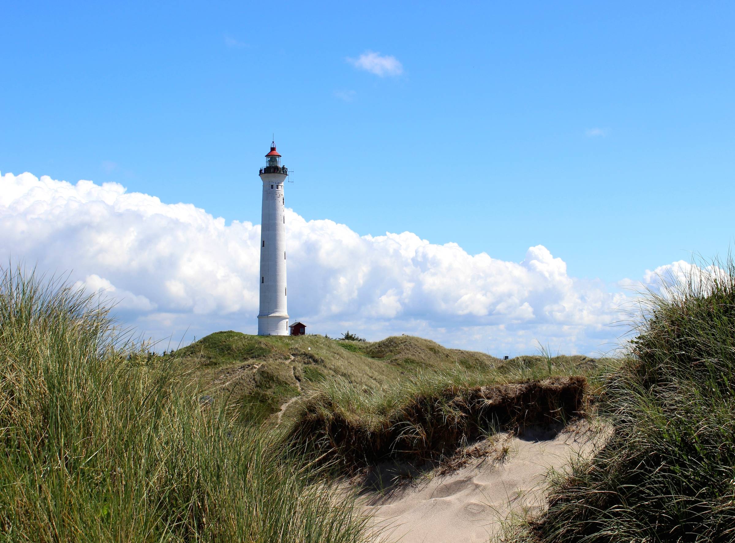 Weißer Leuchtturm in den Dünen