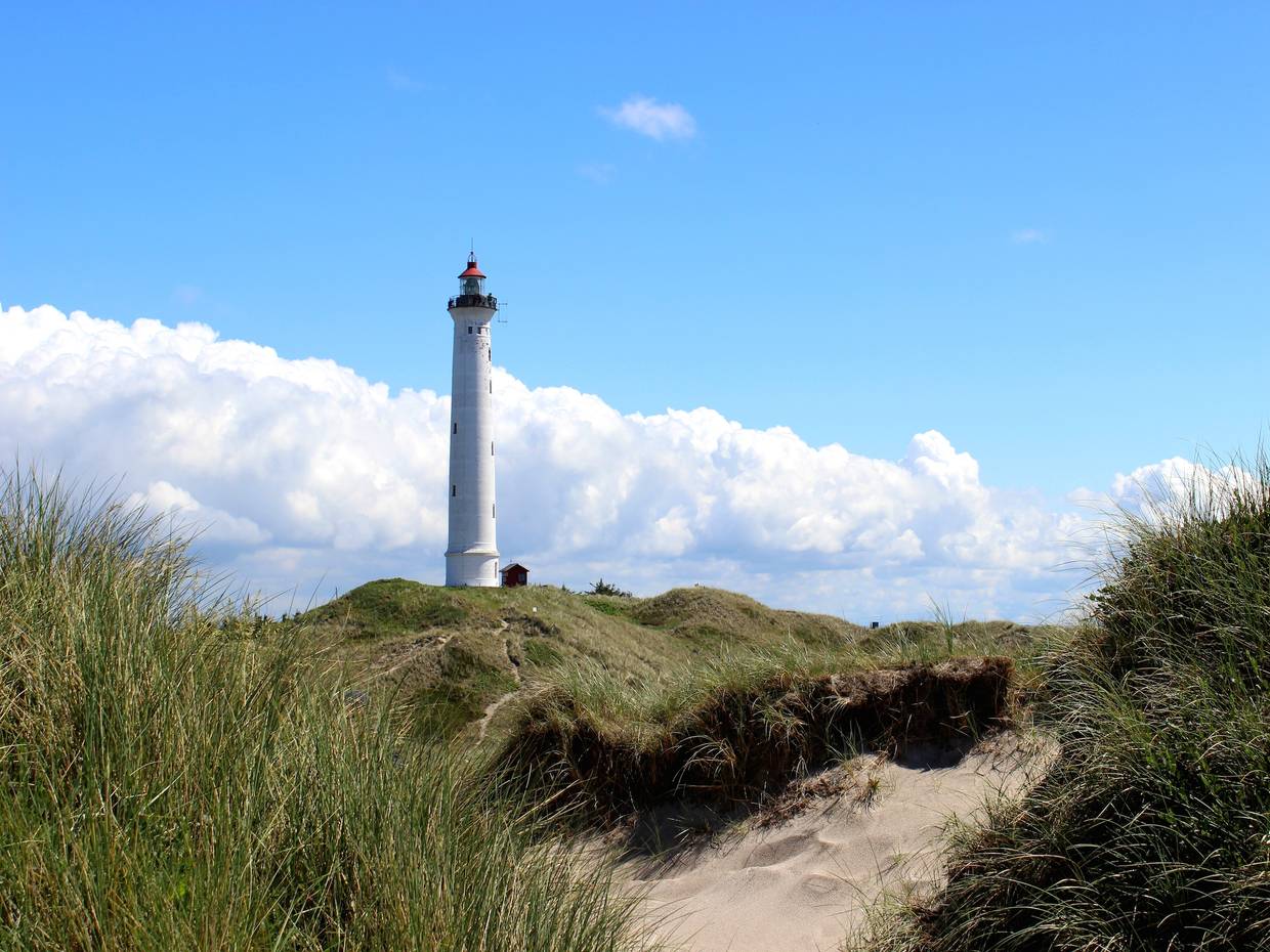 Weißer Leuchtturm in den Dünen