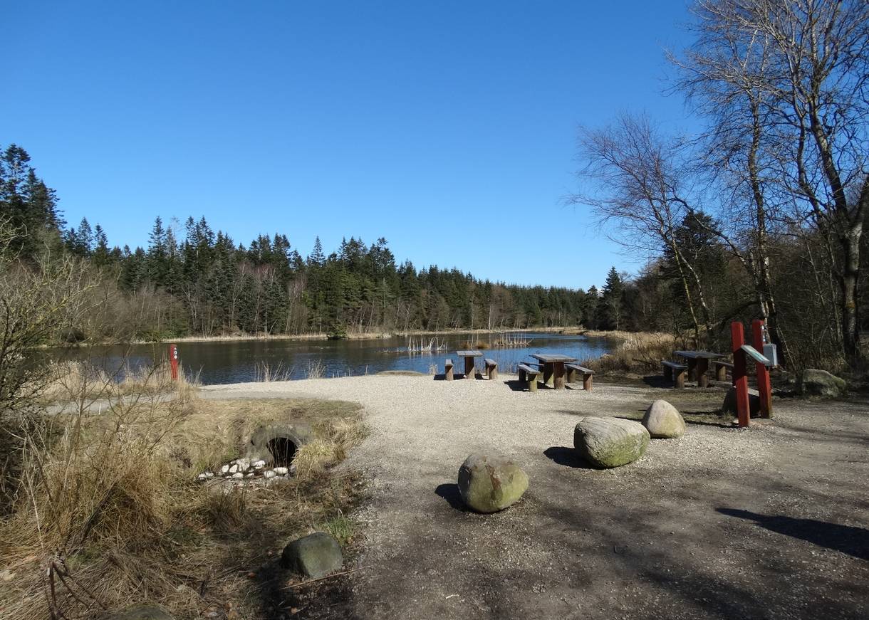 Waldsee mit Picknickbänken in der Klosterhede Plantage