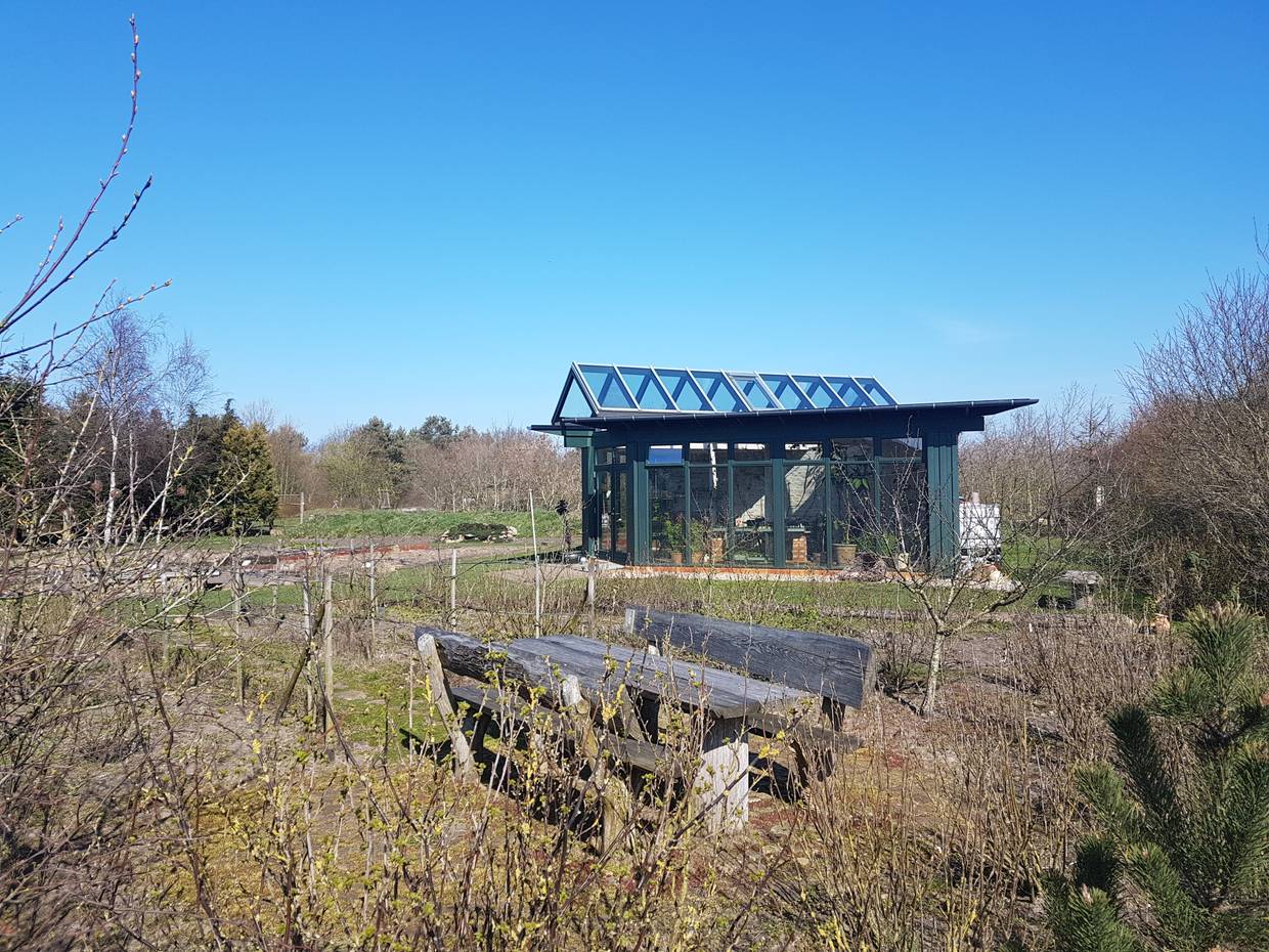 Schwarzes Gartenhaus zwischen Obstbüschen im Frühjahr