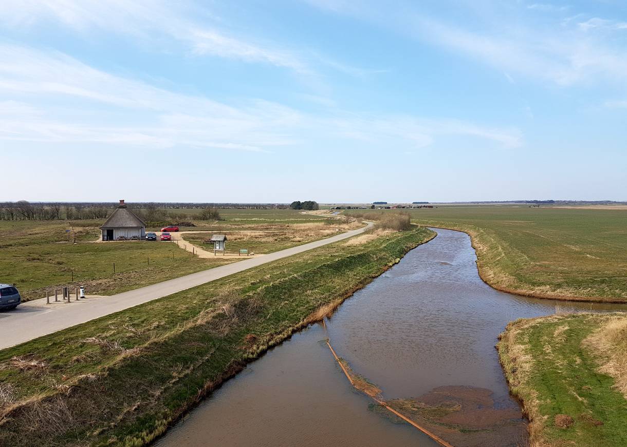 Aussicht auf einen Kanal zwischen Wiesen, am Bildrand ein Reetdachhaus