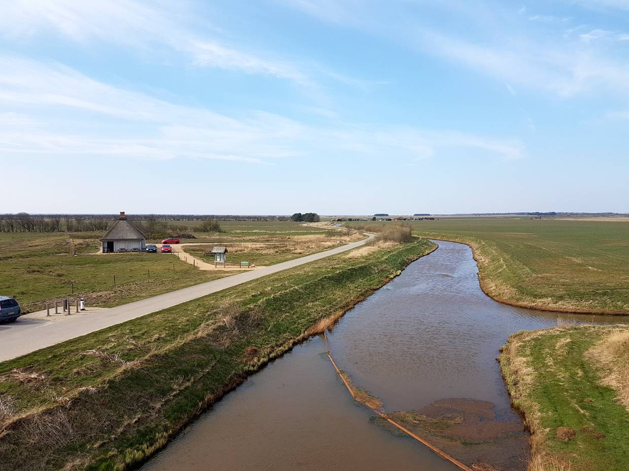 Aussicht auf einen Kanal zwischen Wiesen, am Bildrand ein Reetdachhaus
