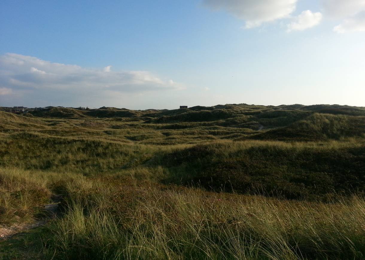 Grüne Dünenlandschaft, in der Ferne ein kleines Haus auf der Düne