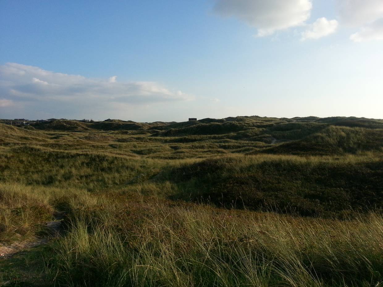Grüne Dünenlandschaft, in der Ferne ein kleines Haus auf der Düne
