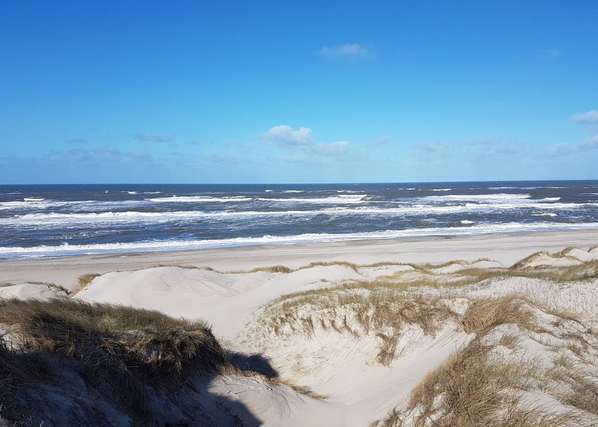 Blick von sandigen Dünen auf die Nordsee bei Sonne