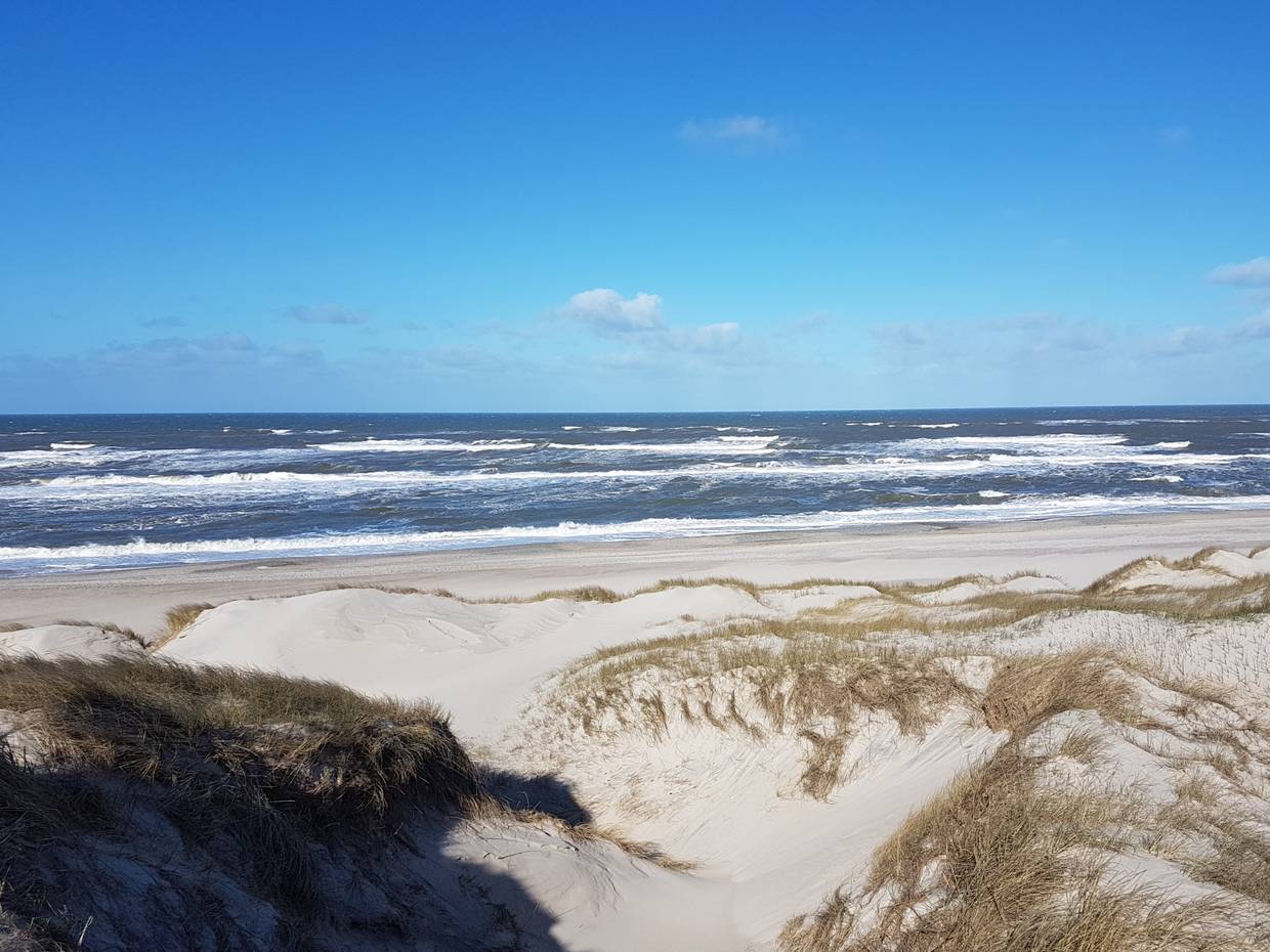 Blick von sandigen Dünen auf die Nordsee bei Sonne