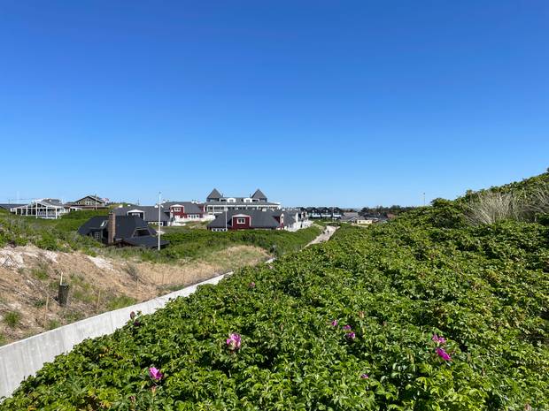 Blick auf Ferienhäuser in einer Dünenlandschaft an einem Pfad zum Strand