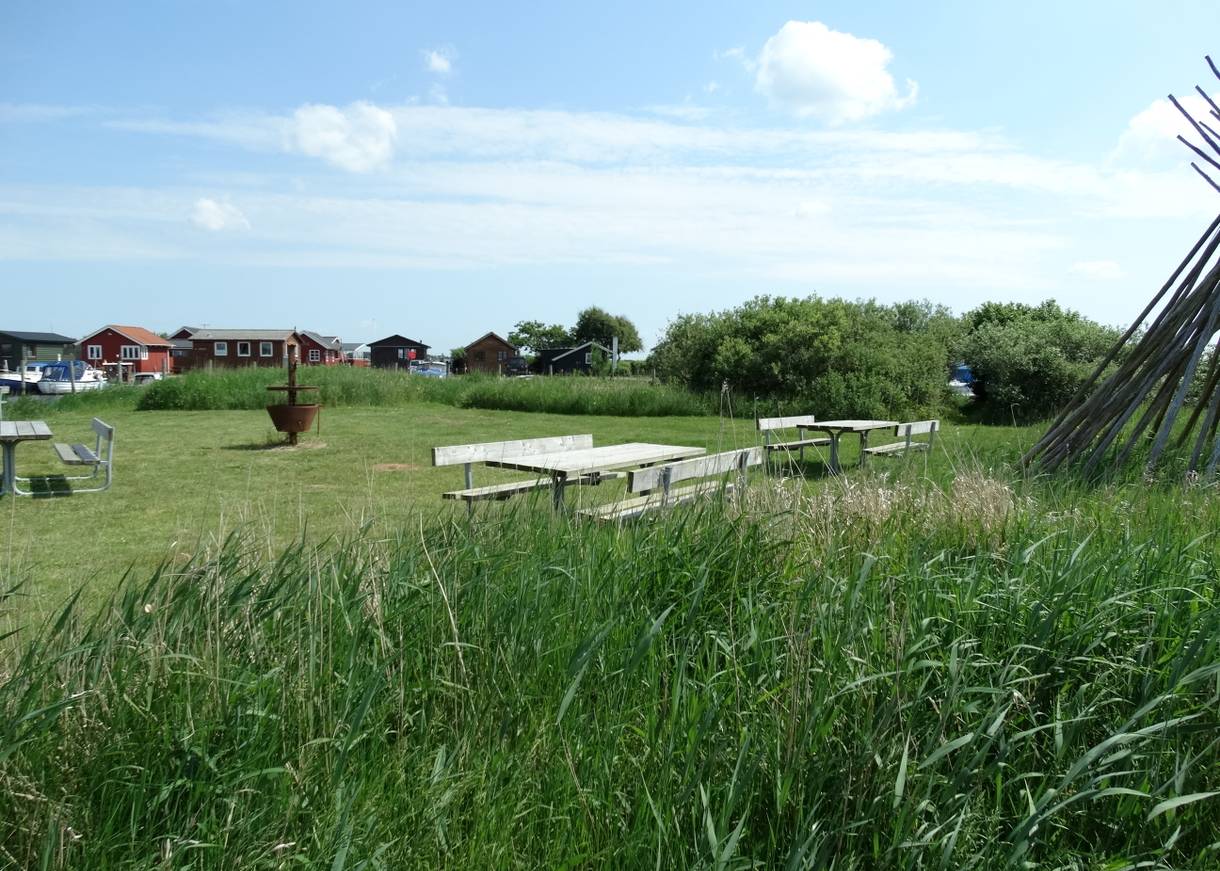 Picknickbänke auf einer Wiese am Wasser