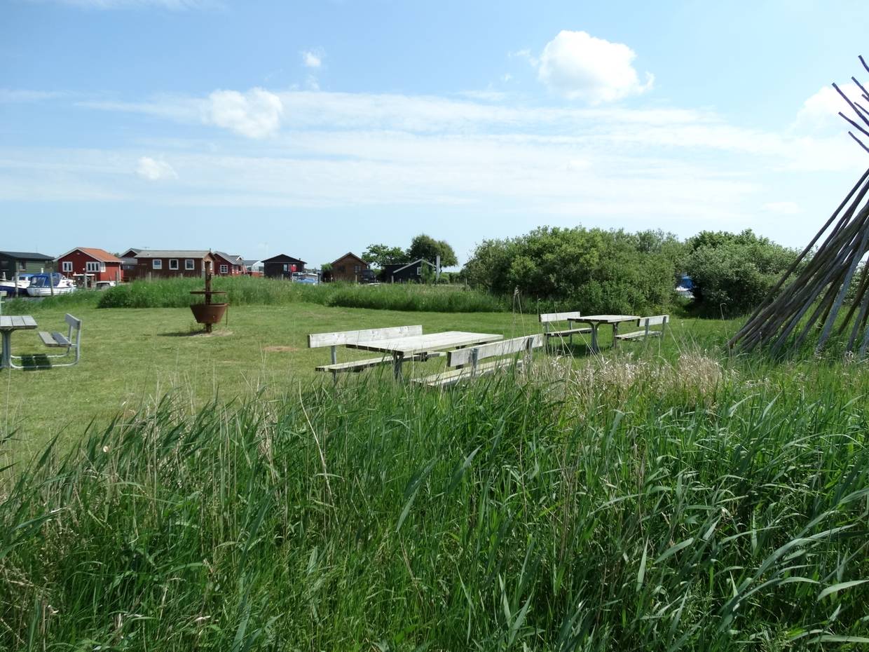 Picknickbänke auf einer Wiese am Wasser