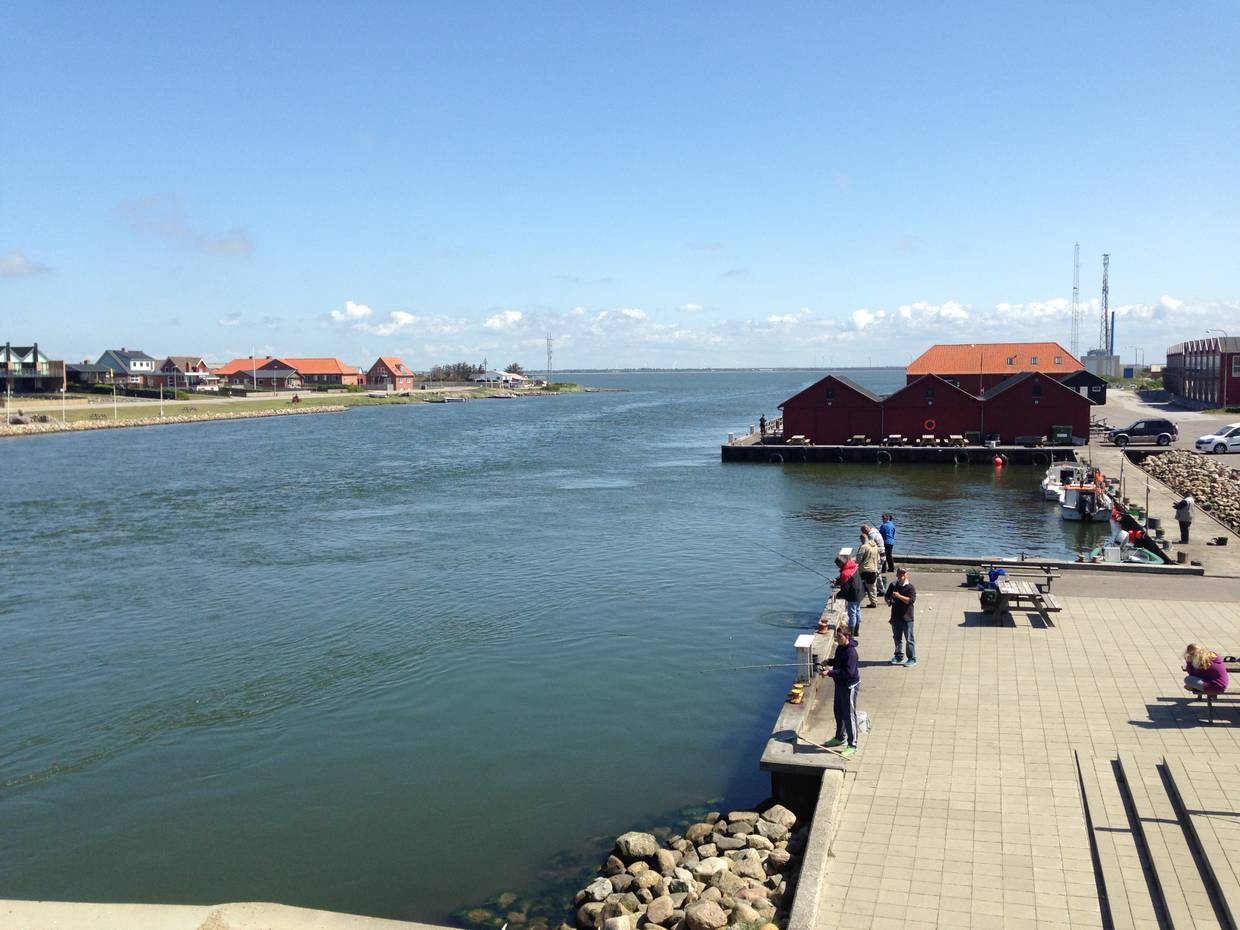 Angler stehen an der Mole von Thorsminde