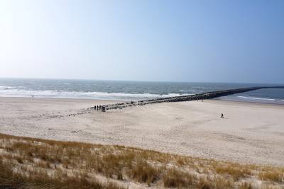 Vorschaubild von Trans Strand