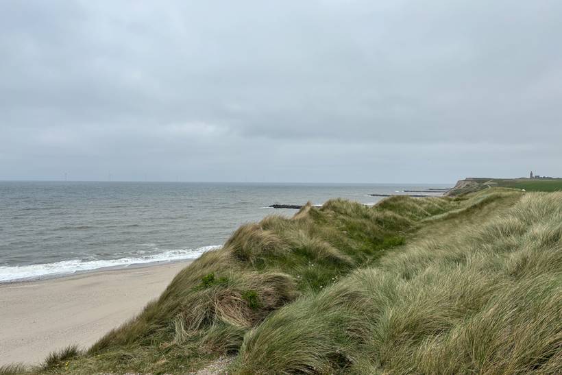 Foto von Trans Strand