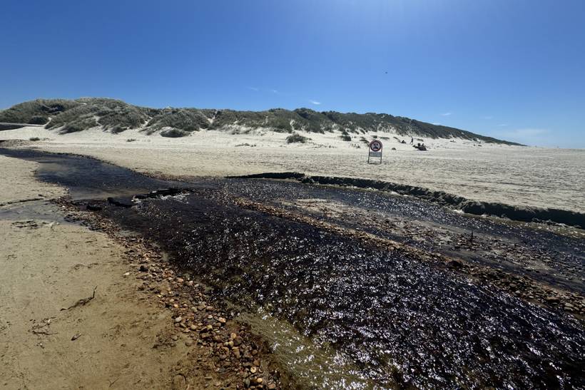 Foto von Børsmose Strand