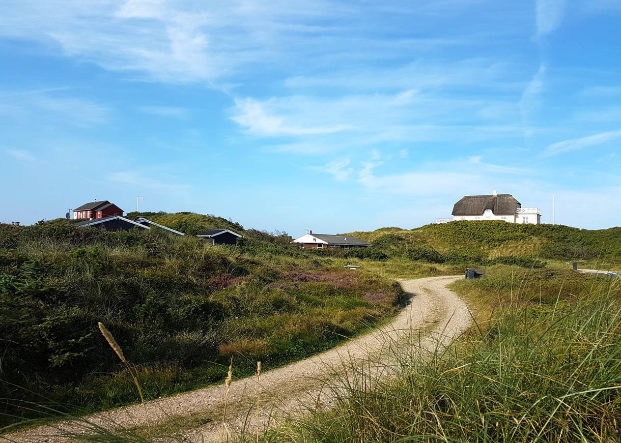 Ferienhäuser auf den Dünen