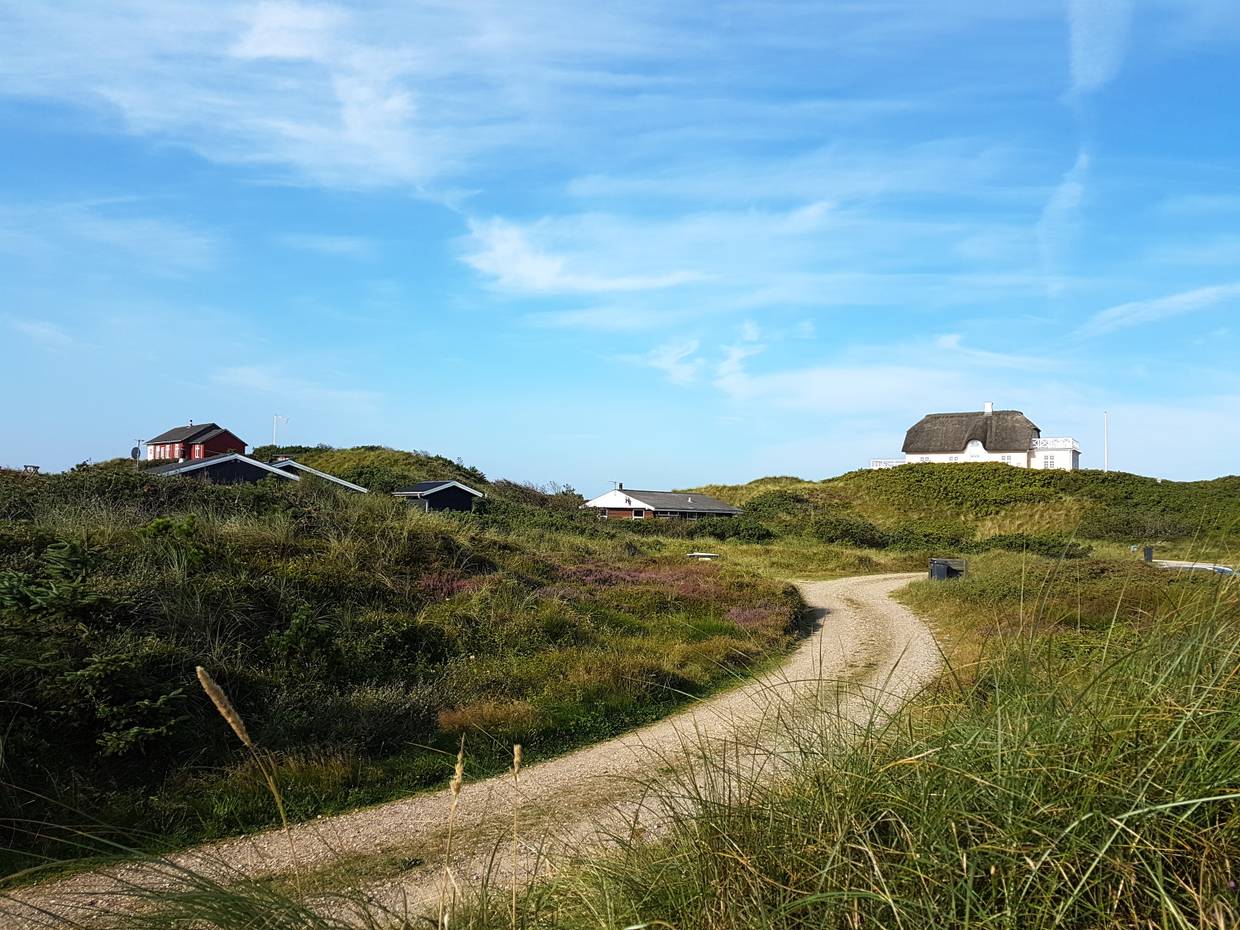 Ferienhäuser auf den Dünen