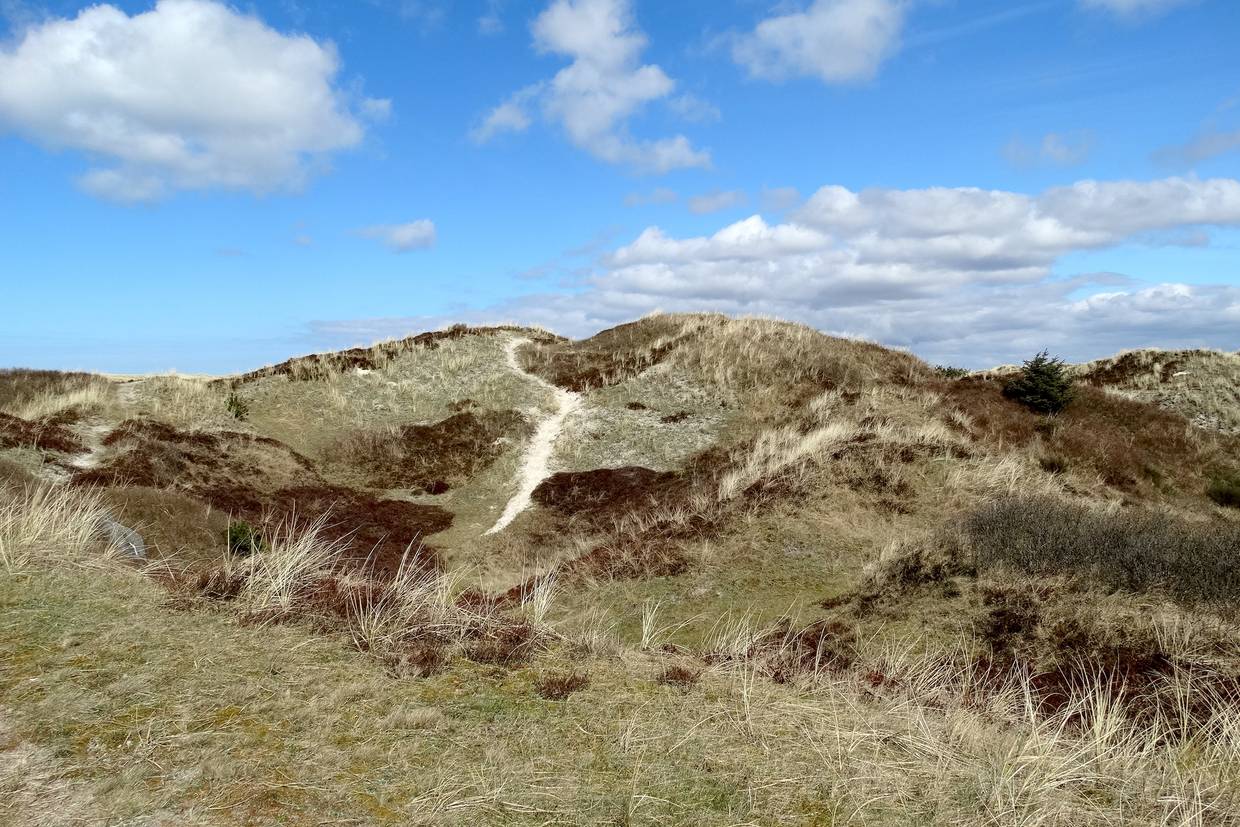Foto von Grærup Strand