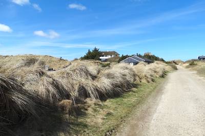 Vorschaubild von Grærup Strand