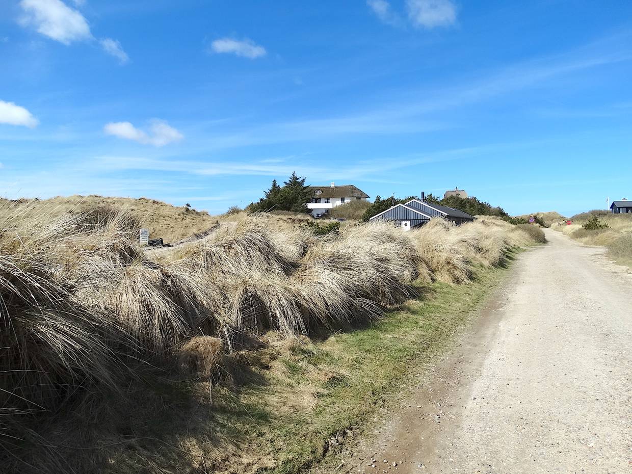Schotterstraße in den Dünen, am Rand zwei Ferienhauser