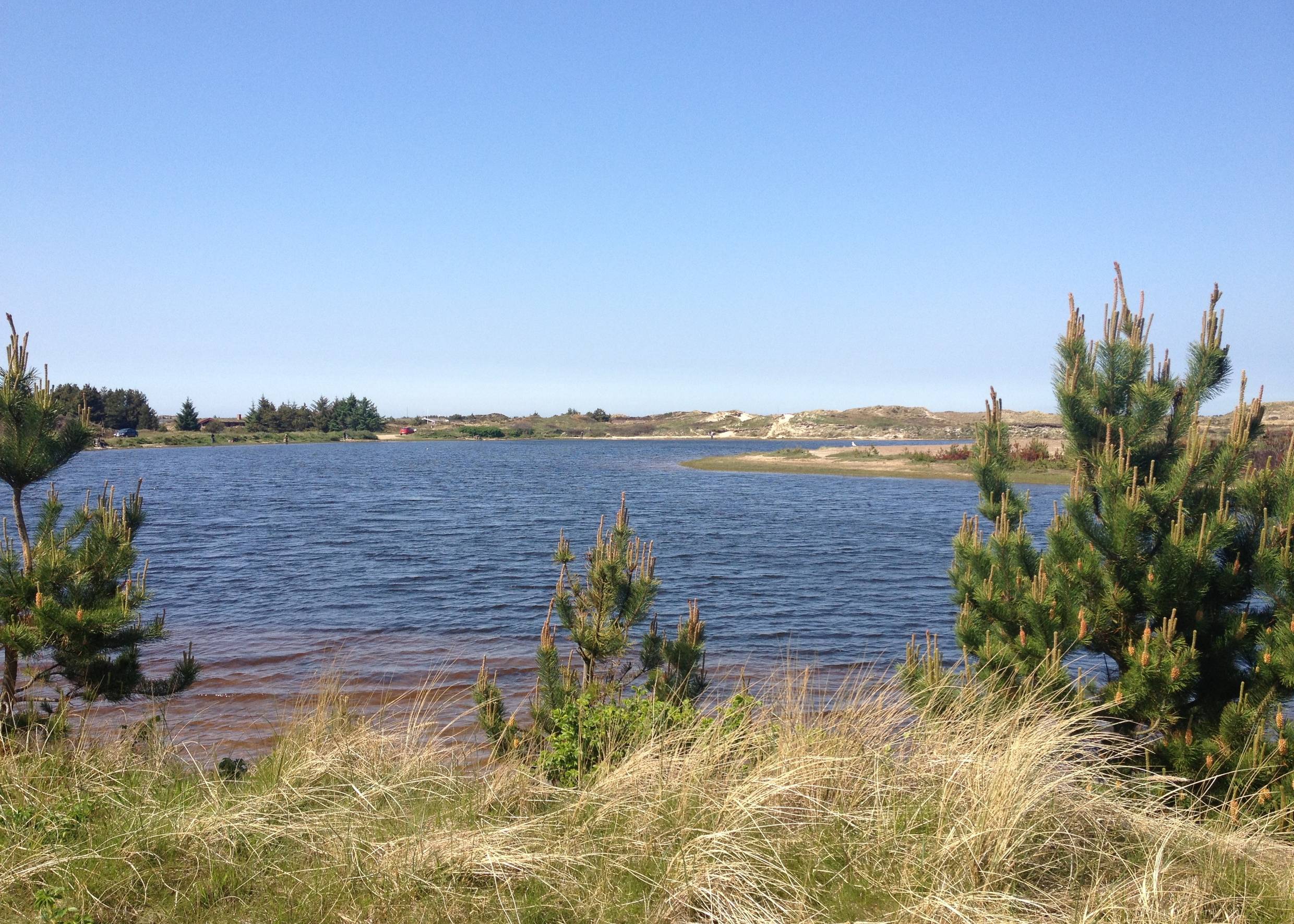 Blick über einen See zwischen den Dünen