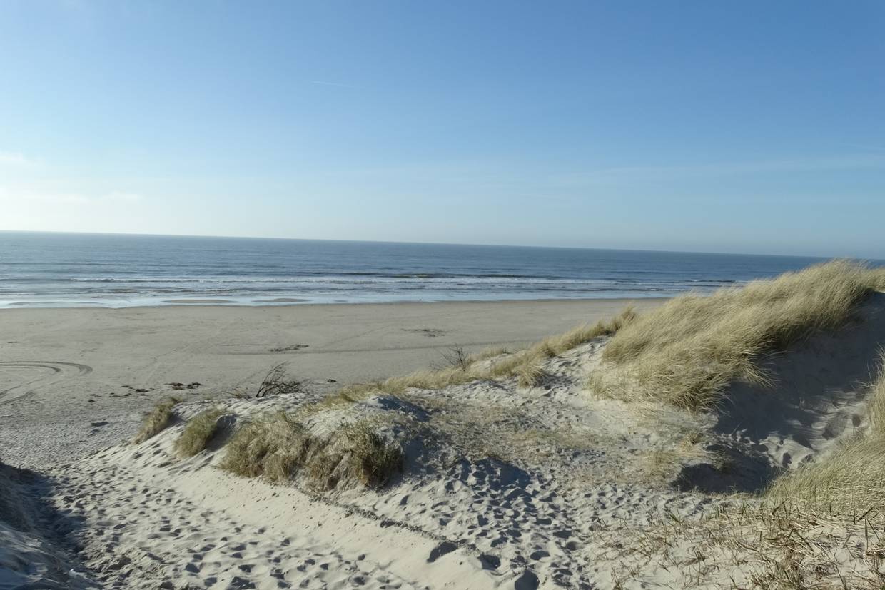 Foto von Grærup Strand