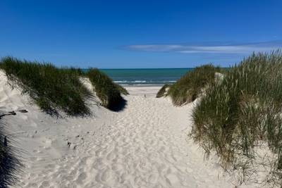 Vorschaubild von Grærup Strand