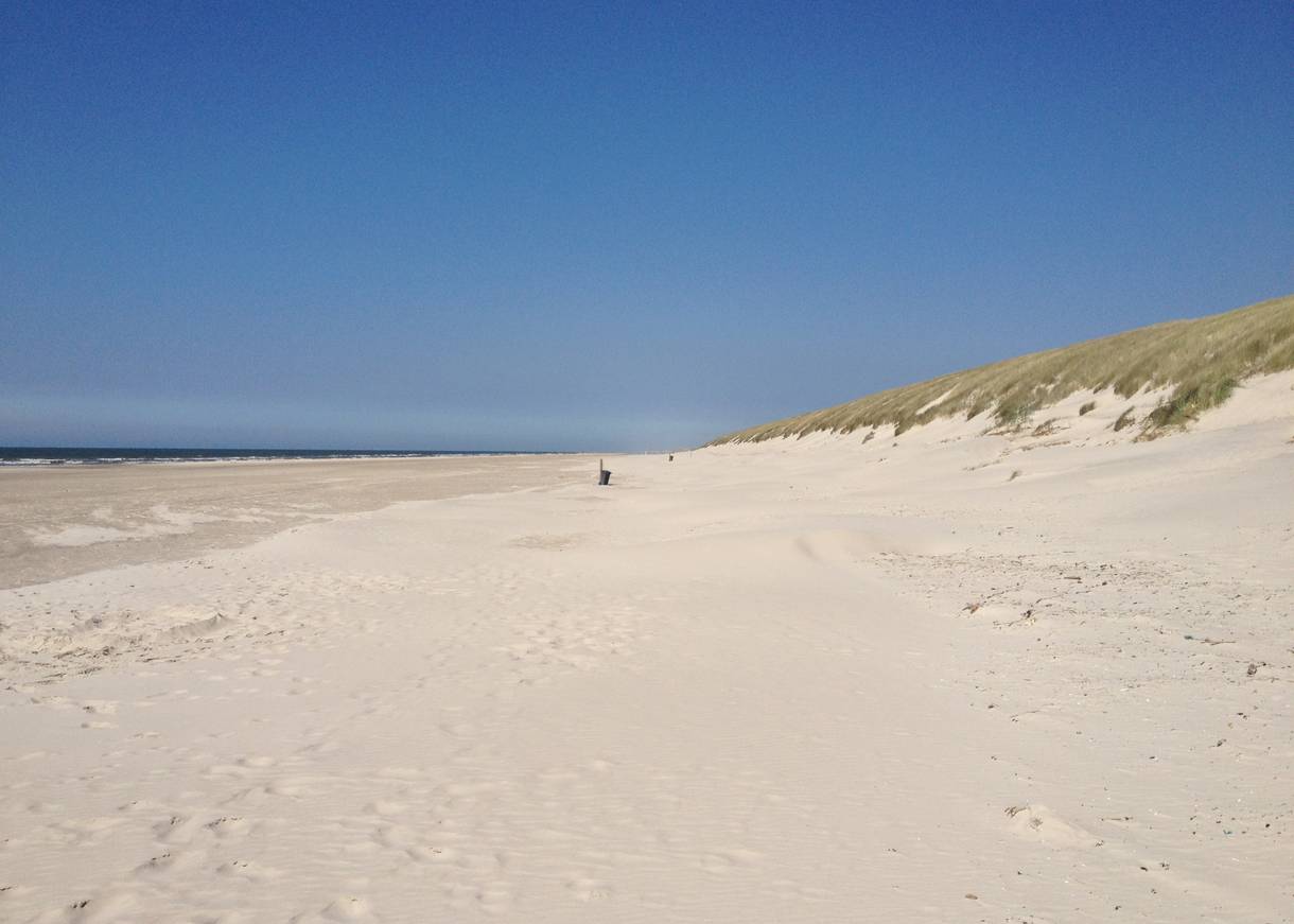 Breiter Sandstrand mit Dünen unter blauem Himmel