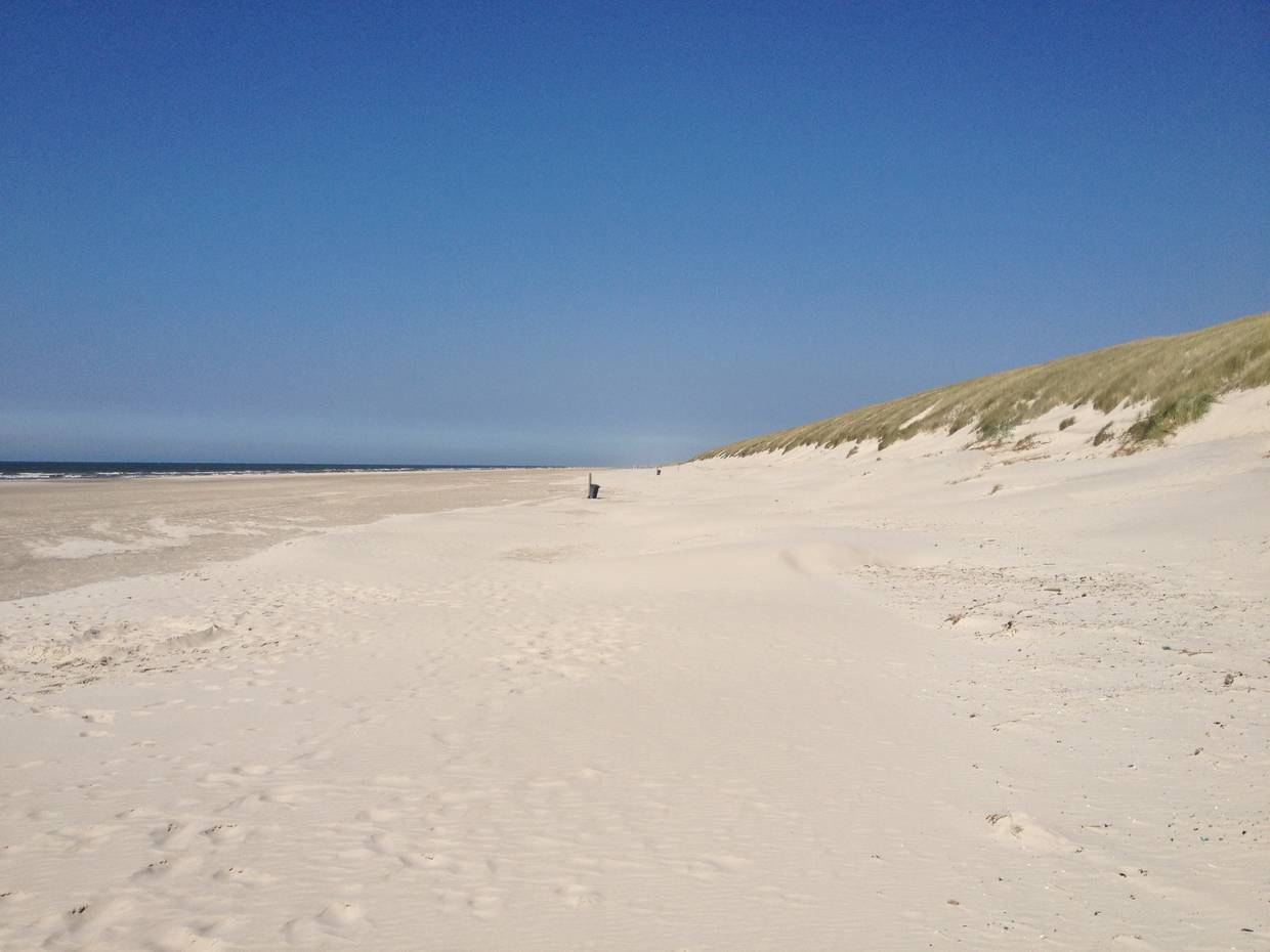 Breiter Sandstrand mit Dünen unter blauem Himmel