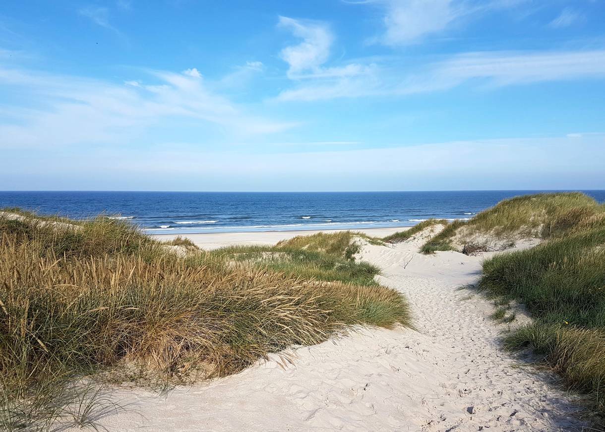 Strandblick zwischen den Dünen