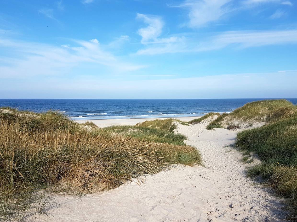 Strandblick zwischen den Dünen