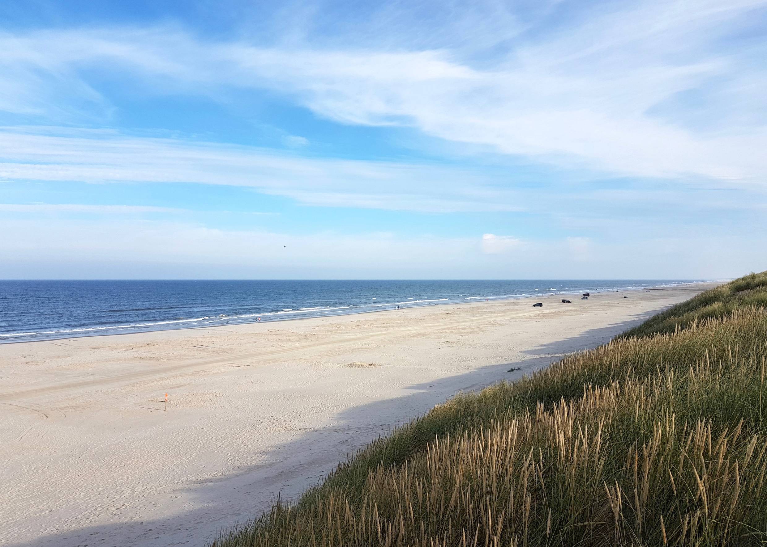 Blick auf den Sandstrand und die Dünen in Vejers Strand
