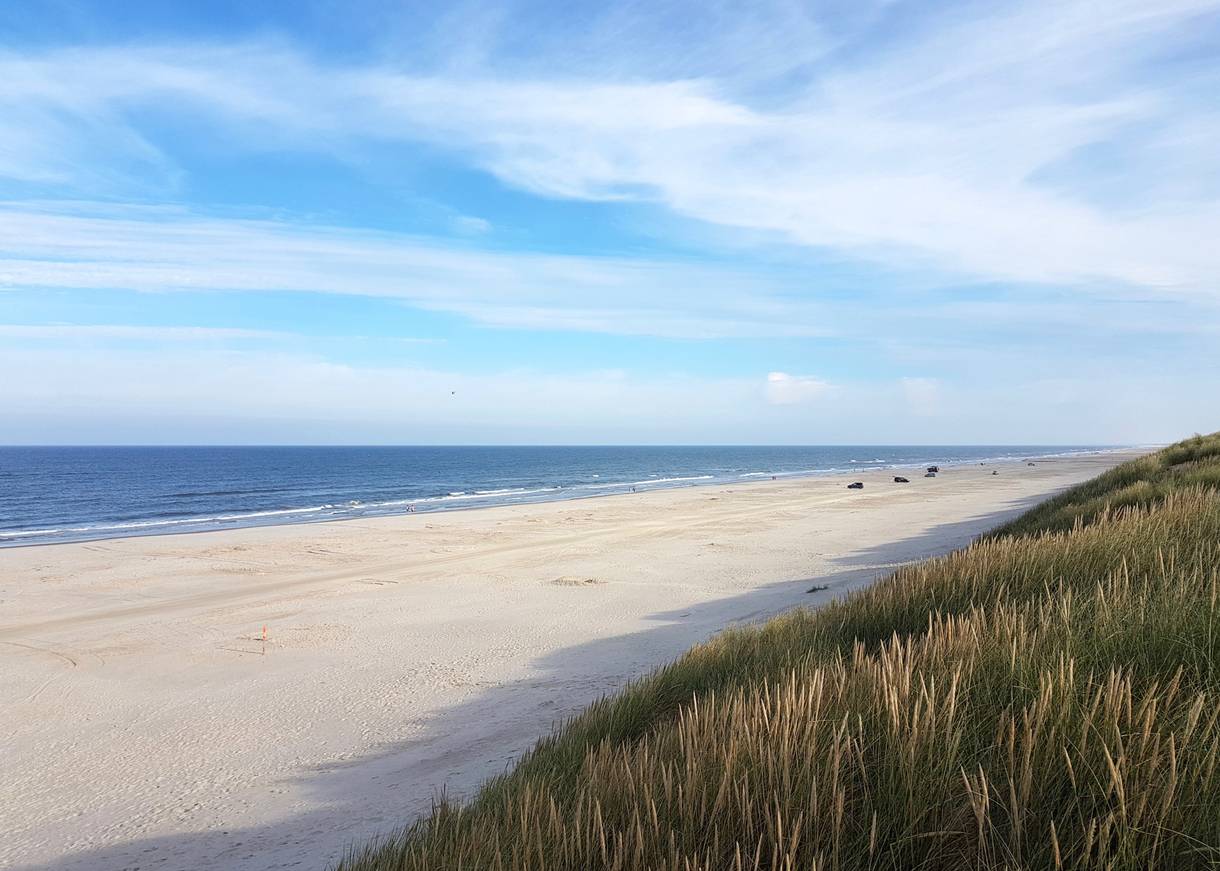 Blick auf den Sandstrand und die Dünen in Vejers Strand