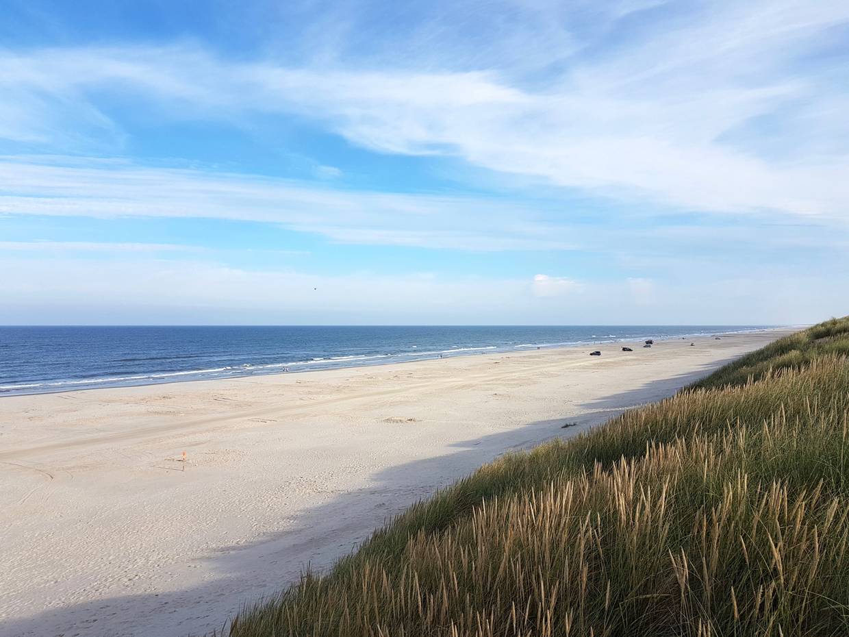 Blick auf den Sandstrand und die Dünen in Vejers Strand