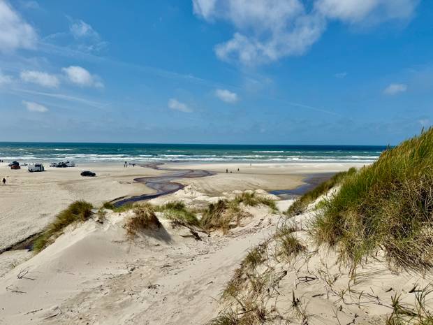 Sicht auf einen breiten Sandstrand mit Autos