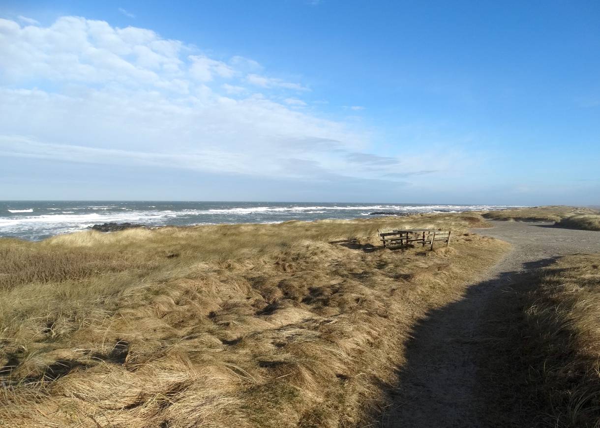 Picknickplatz an Strandparkplatz auf den flachen Dünen
