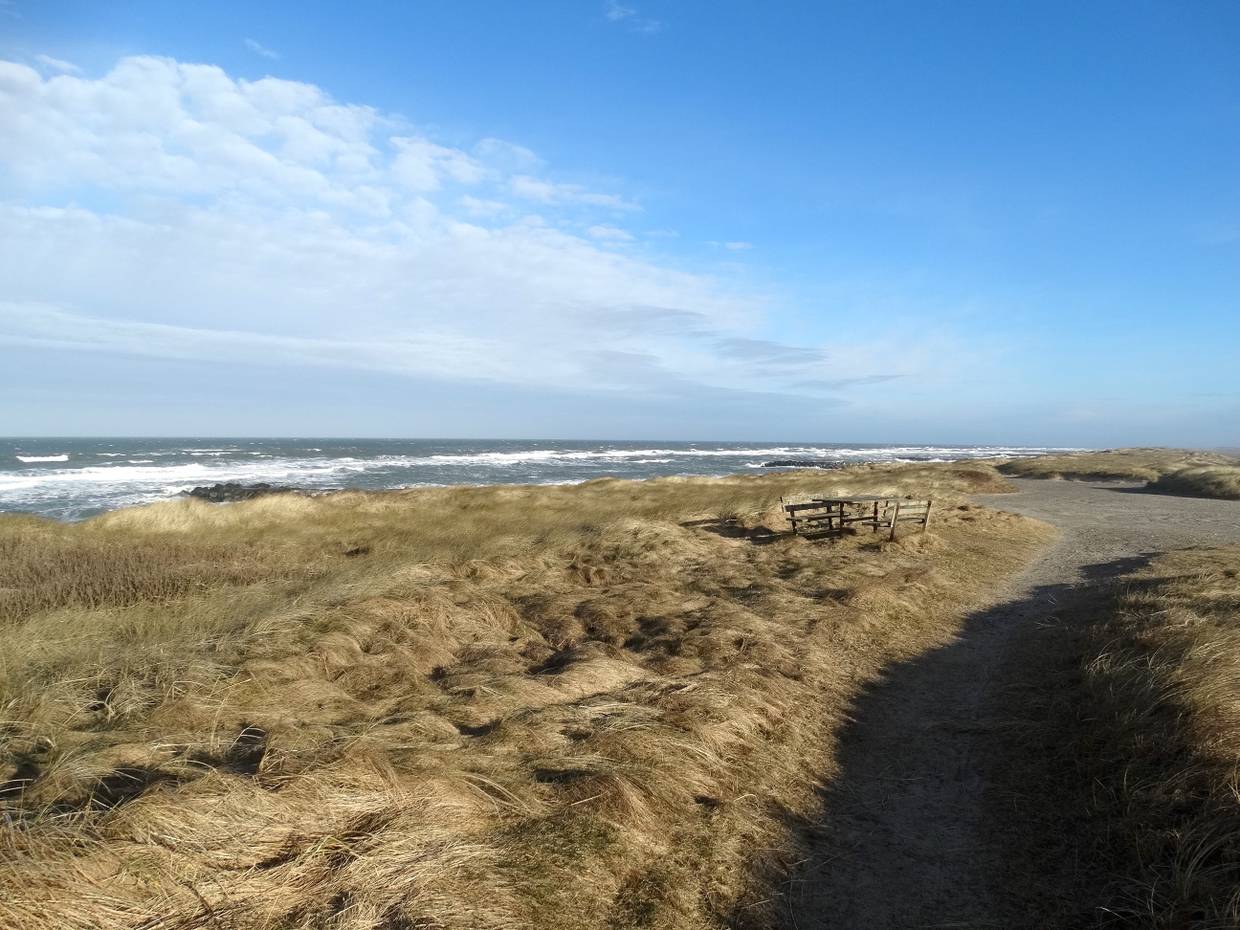 Picknickplatz an Strandparkplatz auf den flachen Dünen