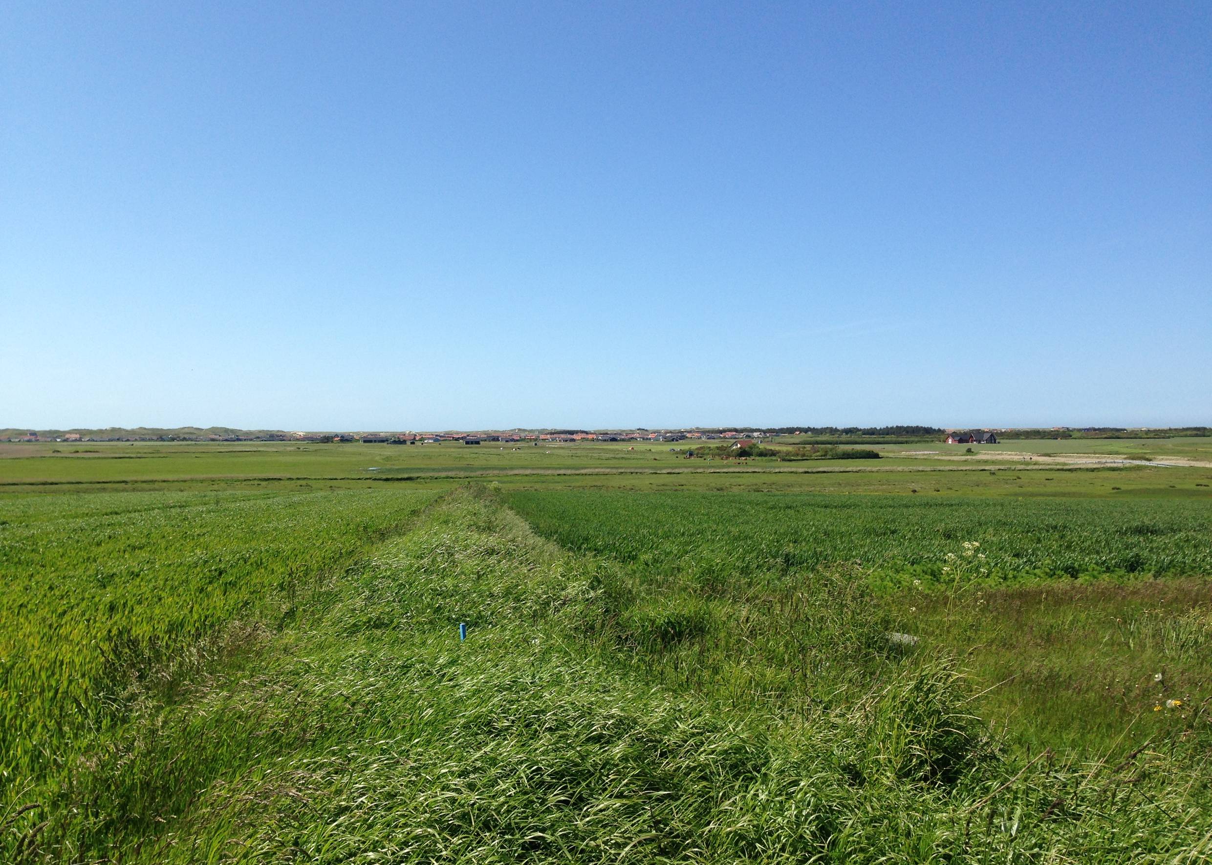 Flache, grüne Felder, in der Ferne eine Ferienhaussiedlung