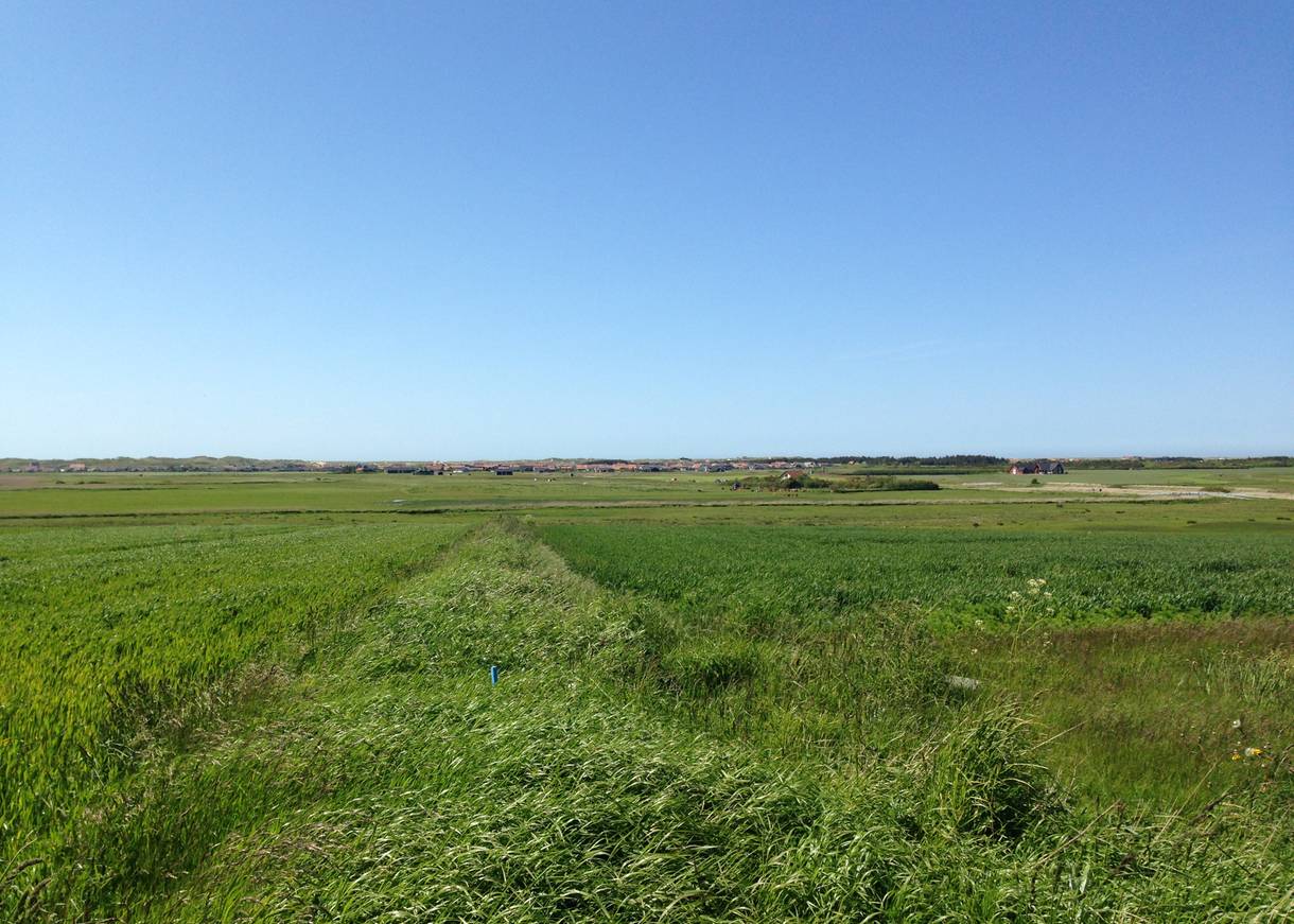Flache, grüne Felder, in der Ferne eine Ferienhaussiedlung