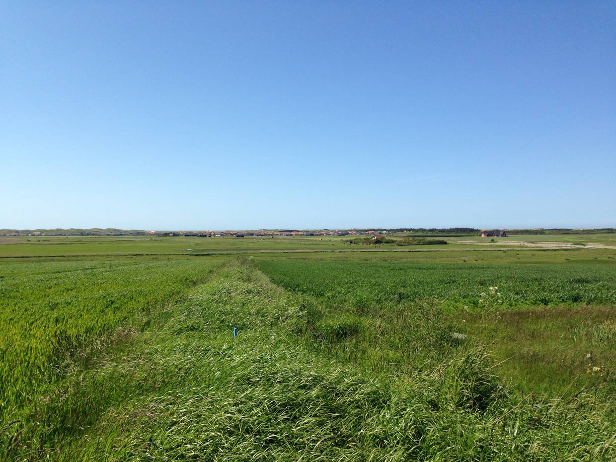 Flache, grüne Felder, in der Ferne eine Ferienhaussiedlung