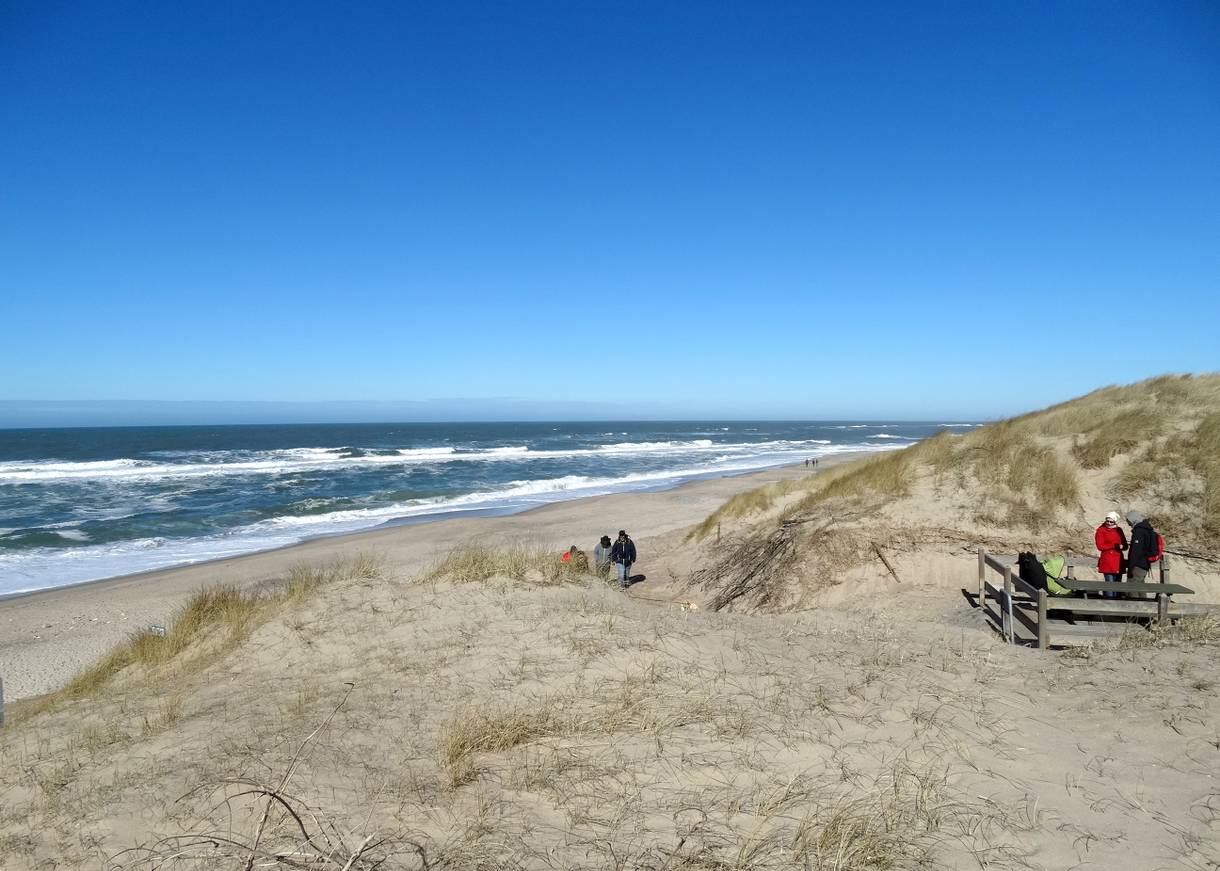 Blick bei Wintersonne aus den Dünen auf die Nordsee