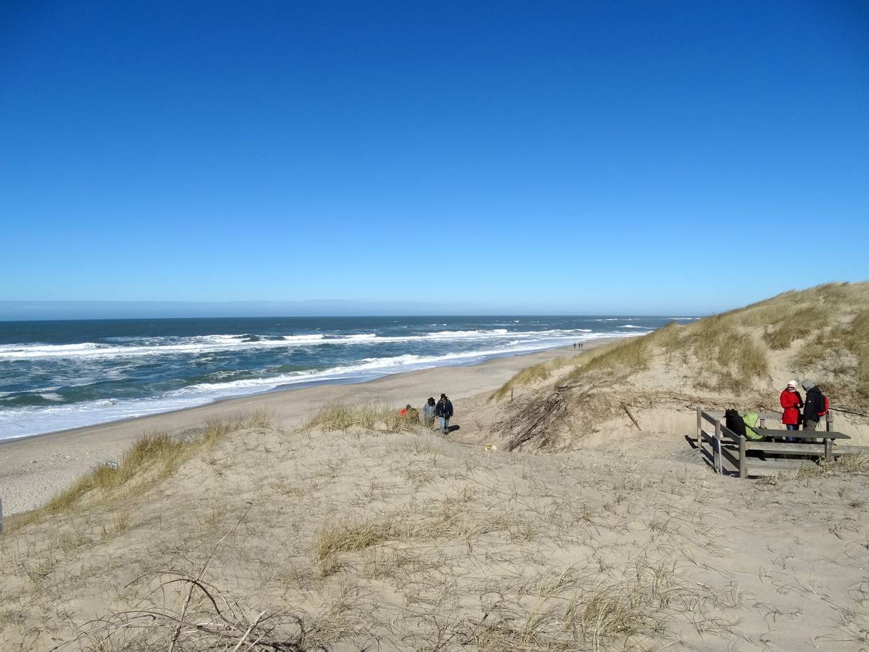 Blick bei Wintersonne aus den Dünen auf die Nordsee