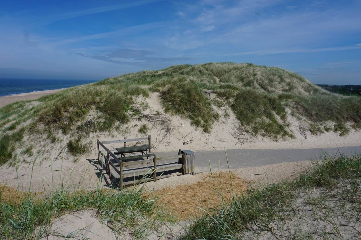 Foto von Vejlby Klit Strand