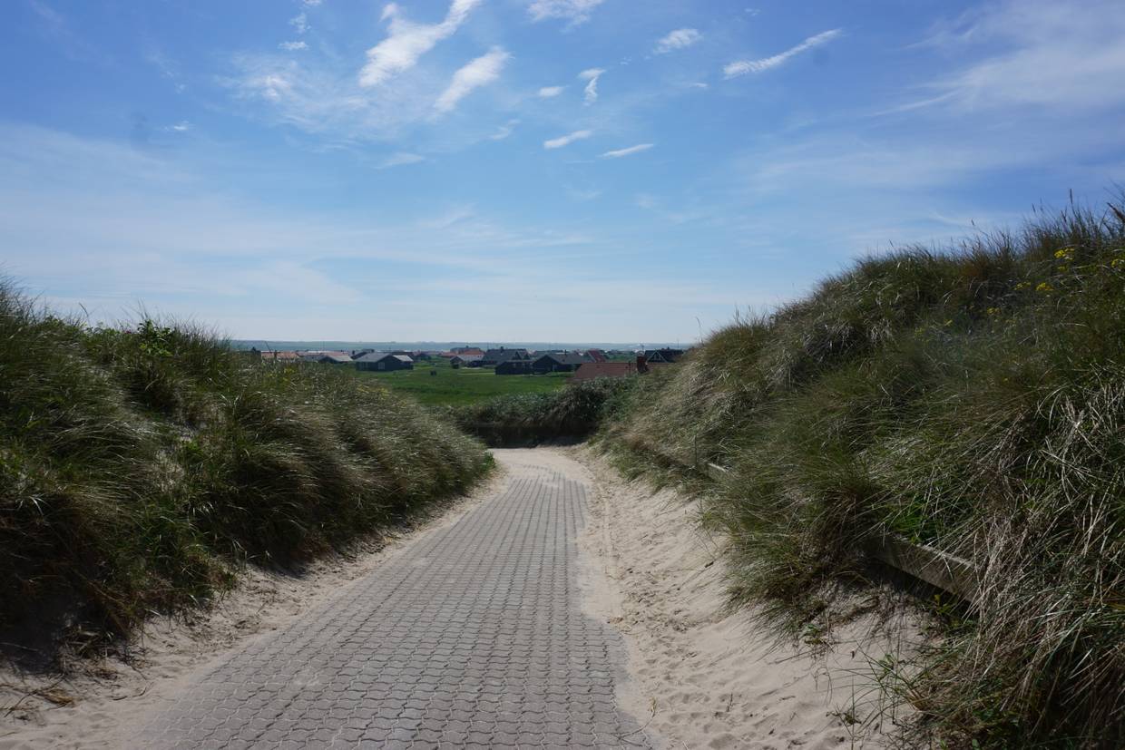 Foto von Vejlby Klit Strand