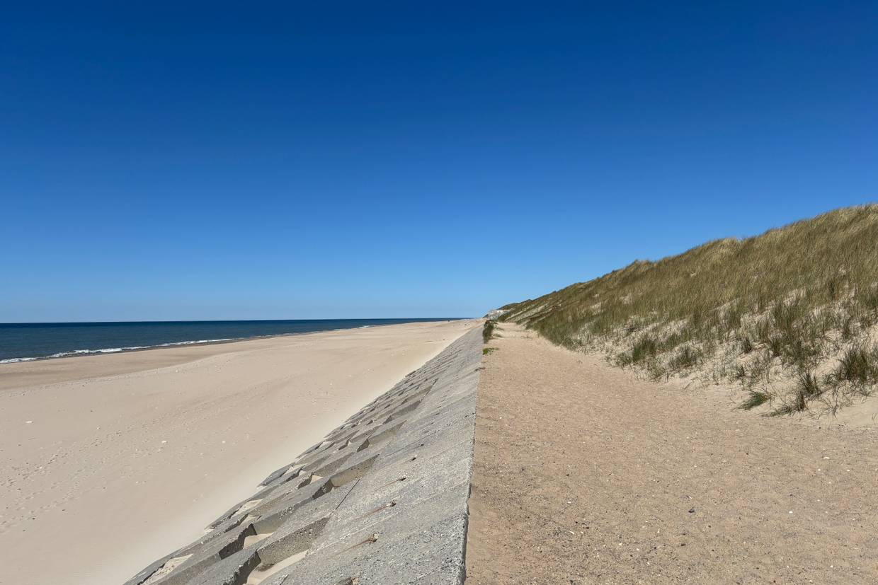 Foto von Vejlby Klit Strand