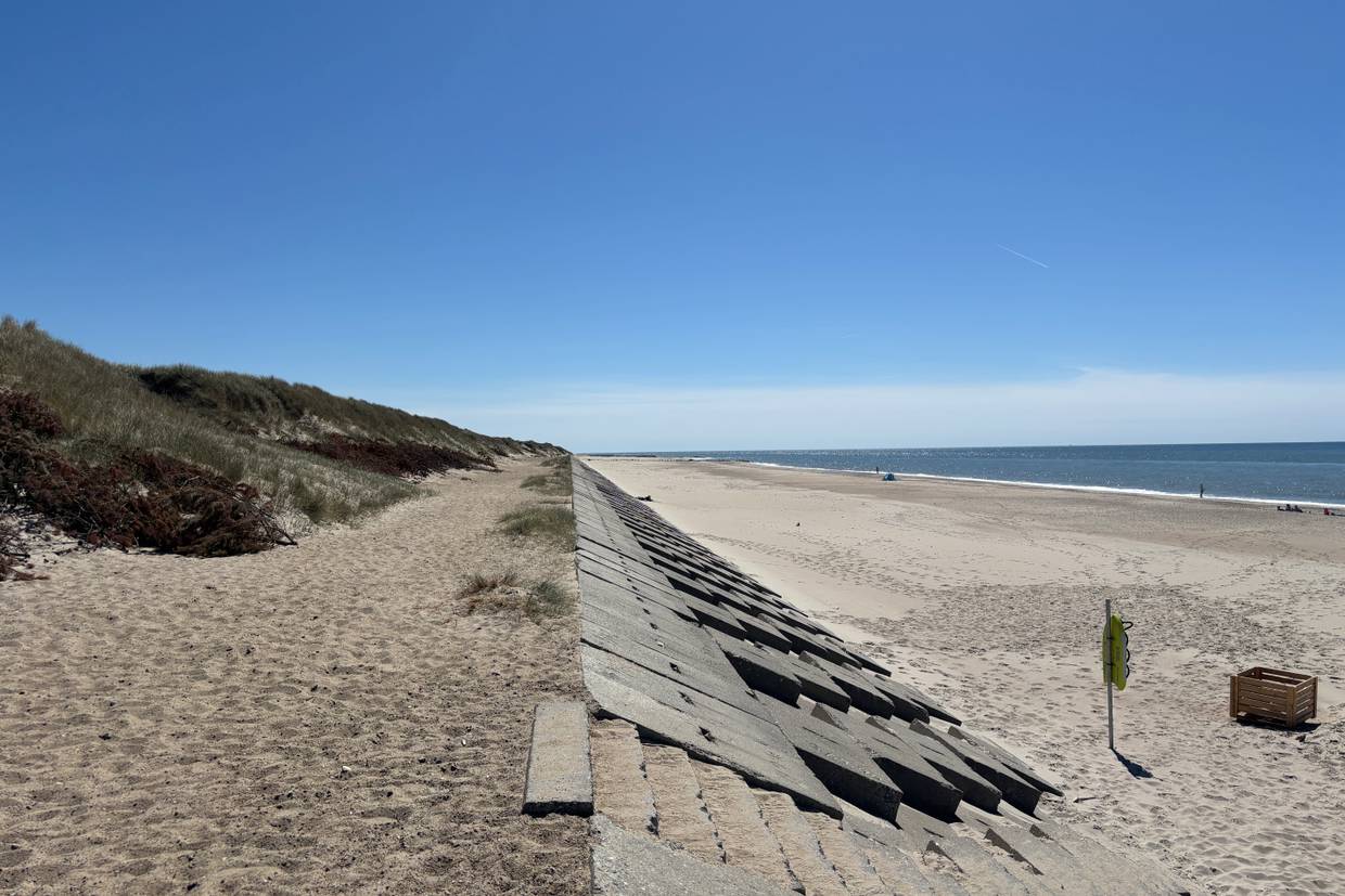 Foto von Vejlby Klit Strand