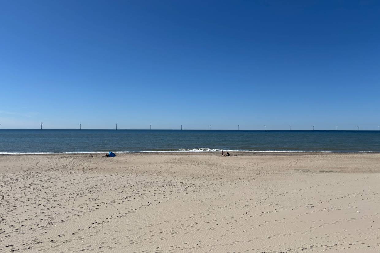 Foto von Vejlby Klit Strand