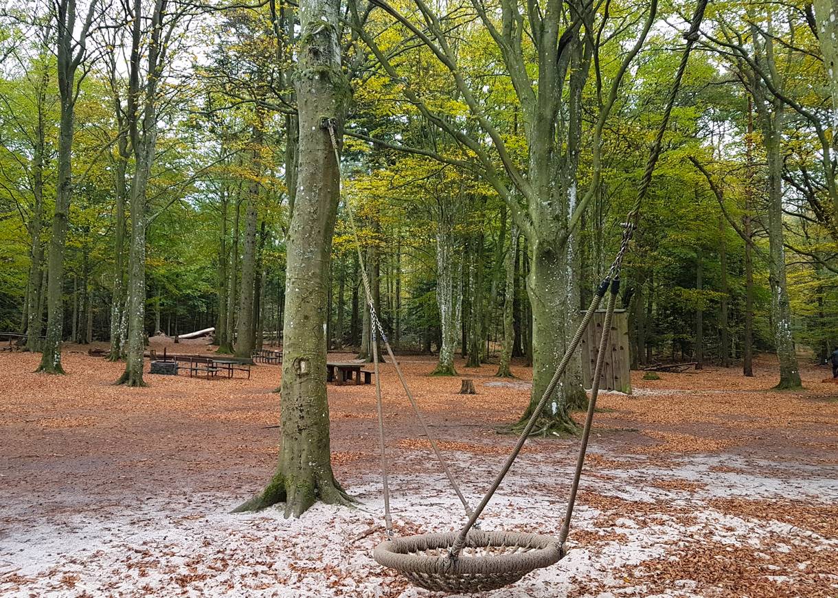 Waldspielplatz mit Schaukel und Klettergrüsten