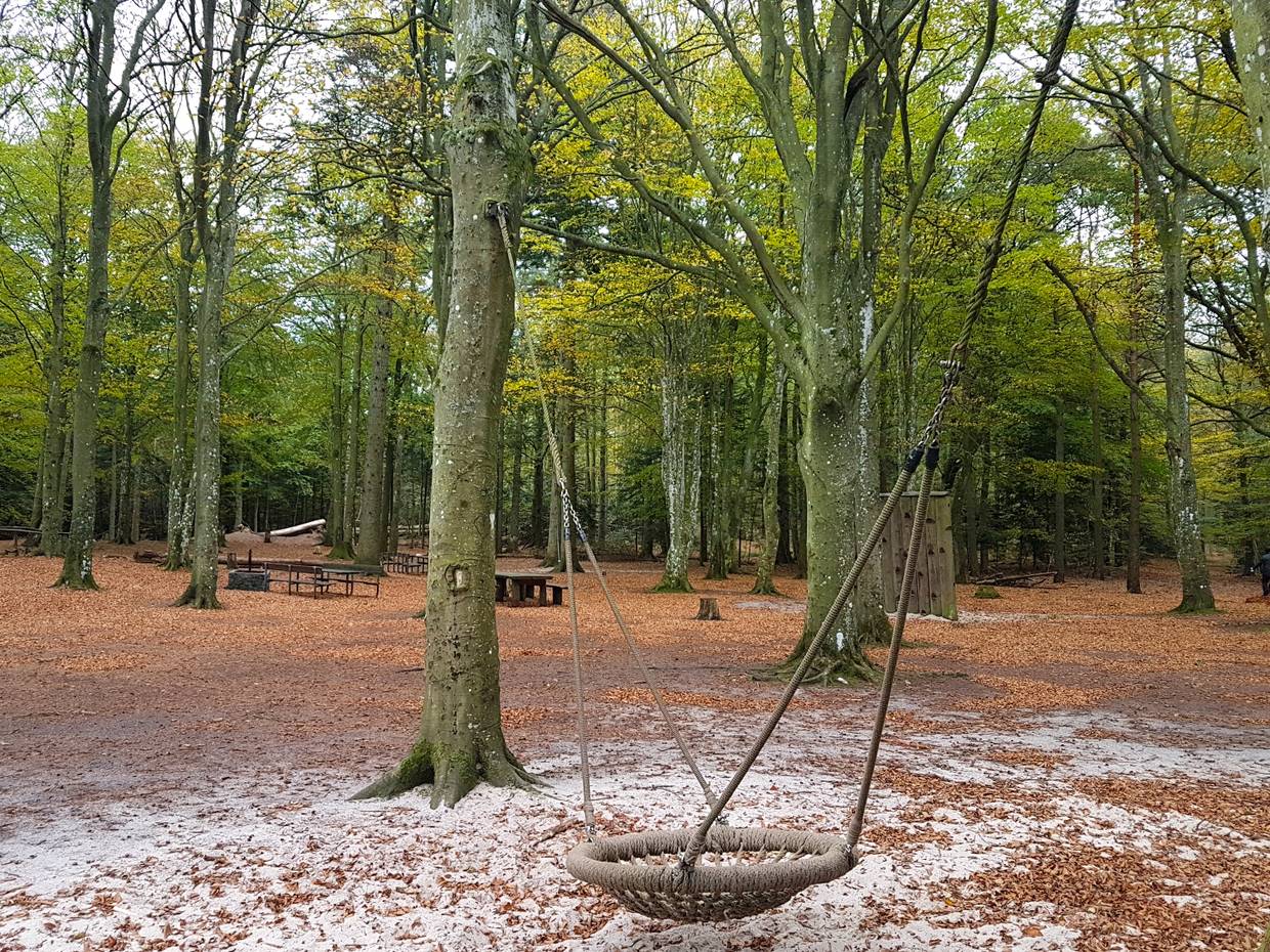 Waldspielplatz mit Schaukel und Klettergrüsten